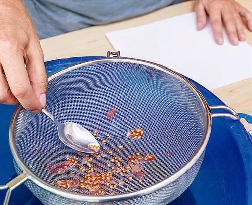 Достаньте семена из сита