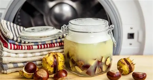 Каштаны как моющее средство: Как сделать самому