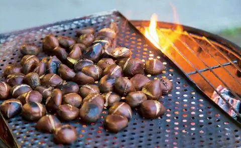 Жареные каштаны