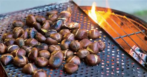 Собирать и жарить каштаны