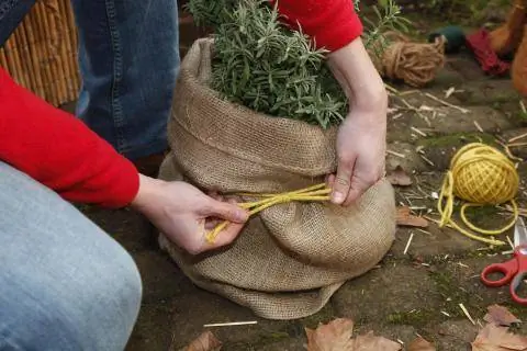Свяжите джутовую ткань