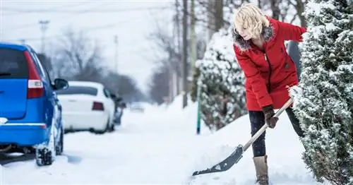 Раздражающая зимняя обязанность: Чистый снег