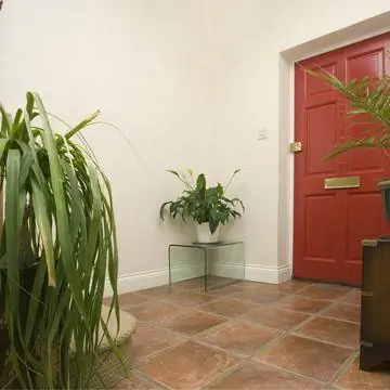 Финиковая пальма зимует в коридоре