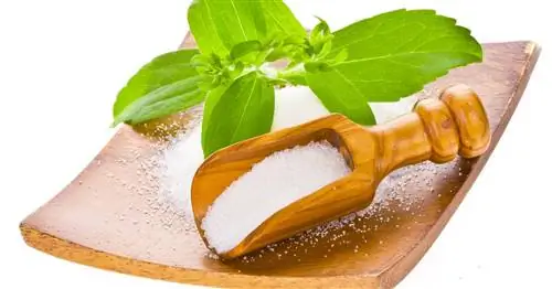 Заменители сахара: лучшие натуральные альтернативы