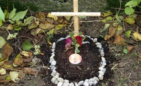 могила питомца