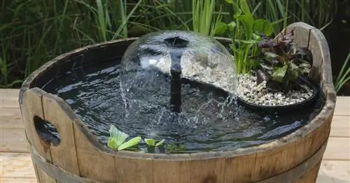 Вот так мини-пруд переживает зиму