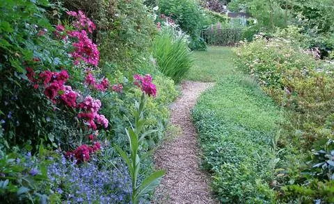 Садовая дорожка в природном саду
