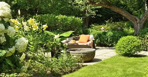 Создание сада: Советы по дизайну для начинающих