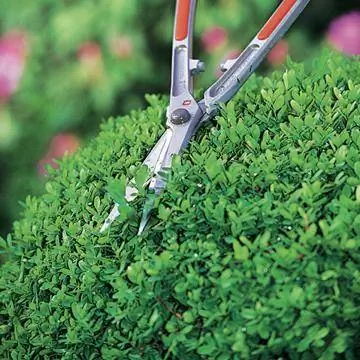 Вырежьте шарик из самшита ручными ножницами