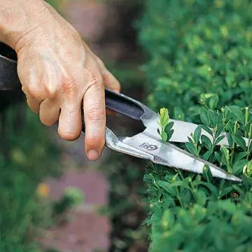 Обрежьте коробку ножницами