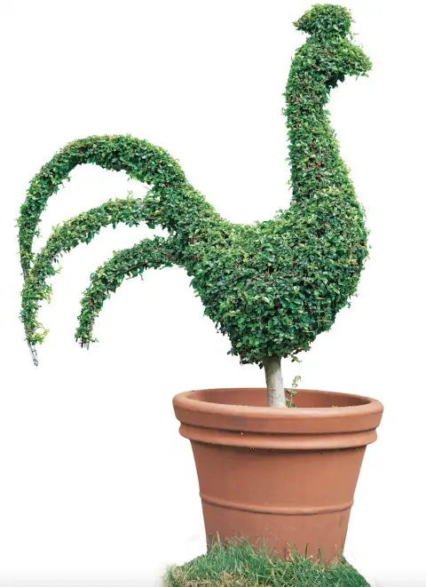 Фигурка петуха из самшита