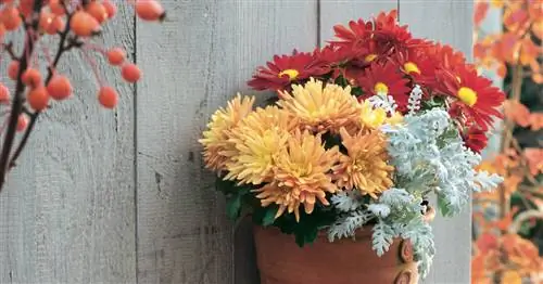 Отделка стен террасы