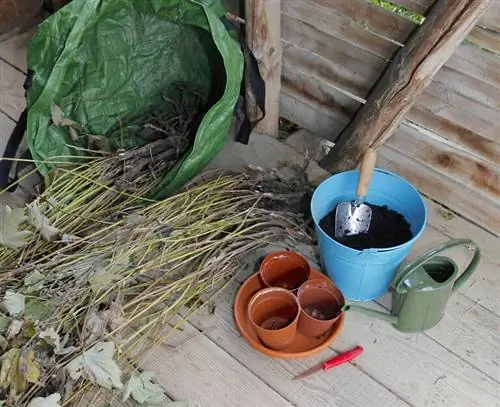 материалы, необходимые для размножения