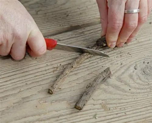 Разрежьте часть корня по диагонали