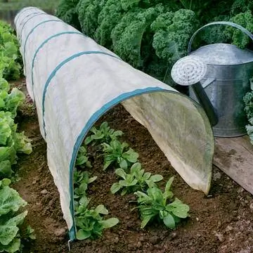 Тоннель для выращивания овощей