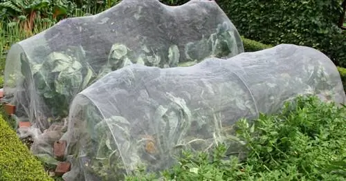 Выращивание овощей с использованием флиса, сетки и фольги