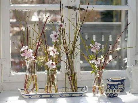 Персиковые ветки в стеклянных вазах