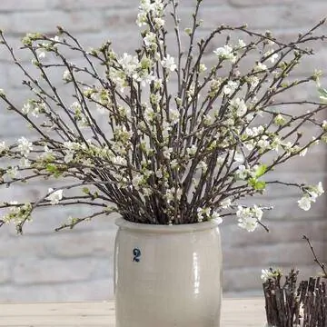 Ветки вишни в керамическом кувшине