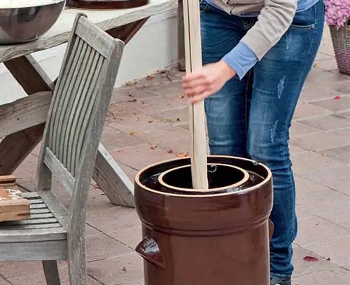 Капуста-пюре