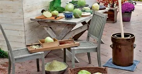 Приготовьте квашеную капусту: как это работает