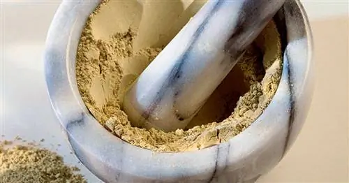 Целительная Земля: Здоровье снизу