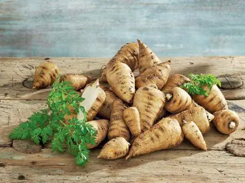 Репа кервель