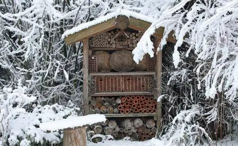 Отель для насекомых зимой