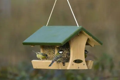 Кормушка для птиц