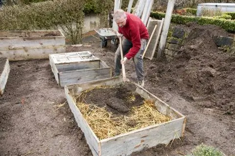 Заполните навозную грядку почвой