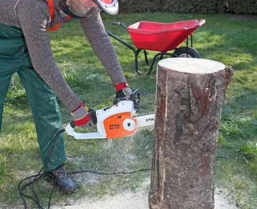 Распиловка ствола дерева для шведского костра
