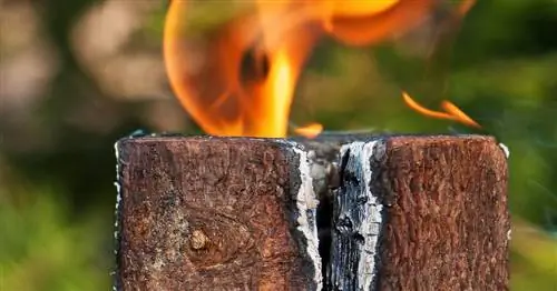 Шведский огонь: Как сделать факел на дереве своими руками