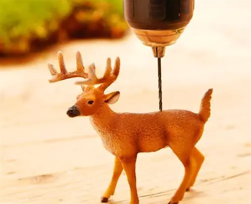 Отверстие на рисунке