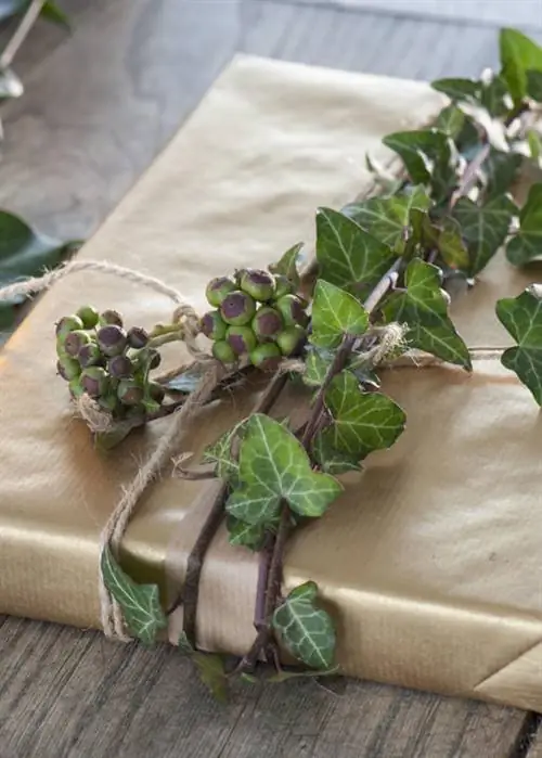 Книга, завернутая в золотую оберточную бумагу с плющом.