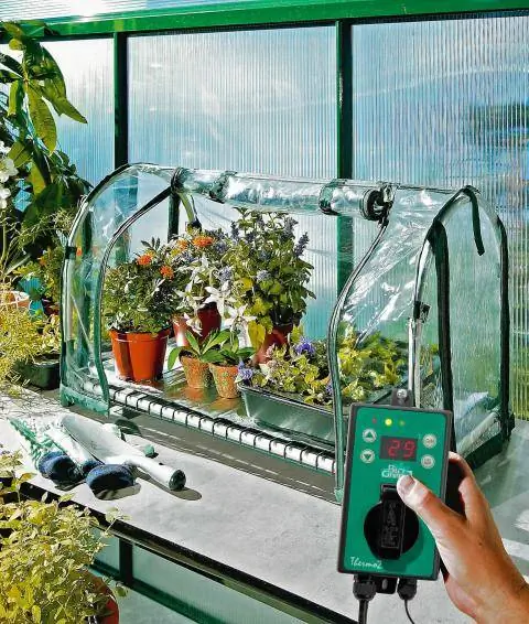 Инкубаторий Гранд Топ Гранд Топ