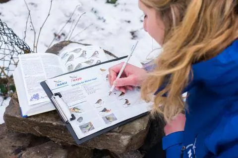 записи переписи птиц