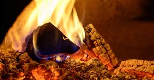 Древесная зола: садовое удобрение с риском