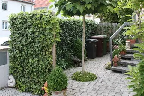 Экран конфиденциальности Айви