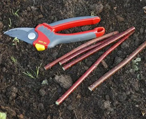 Палочки длиной 15-20 см.