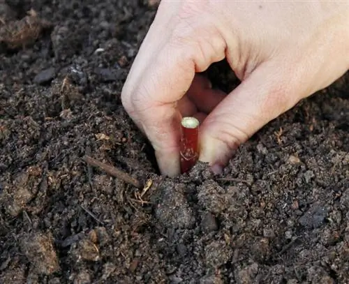 Втыкать палки в землю