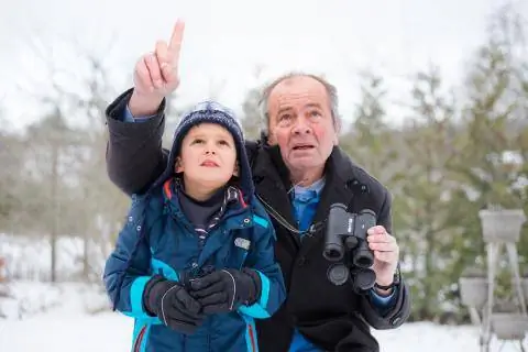 Дедушка и внук наблюдают за птицами