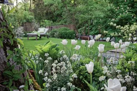 яркие цветущие растения