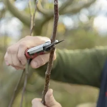 Вырезать на внешнем глазу