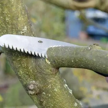 Разрезать на узлы