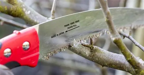 Обрезка: самые важные технические термины