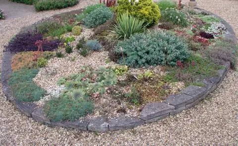 Сад из многолетнего гравия
