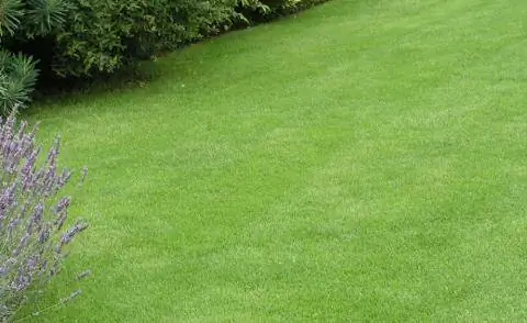 Английский газон