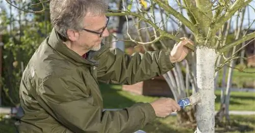 Фруктовые деревья: Покрытие от морозных трещин и оленей
