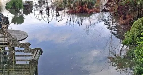 Наводнения в саду