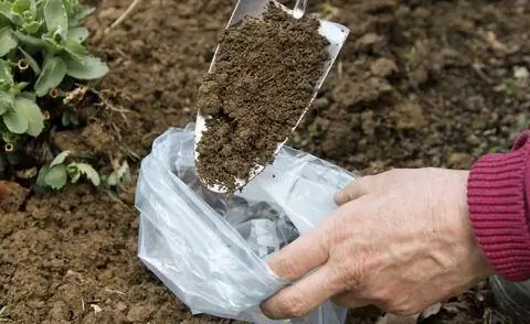 взять образец почвы