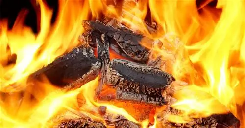 10 советов по отоплению дровами
